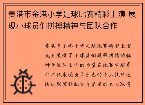 贵港市金港小学足球比赛精彩上演 展现小球员们拼搏精神与团队合作